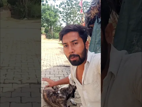 Musibat ho gayi | Mini Vlog #minivlog #shorts #viral #youtubeshorts
