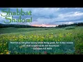 August 15 2026 Torah Portion Shoftim Judges - Deuteronomy 16 18
