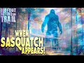 Lagu When Sasquatch Appears! Revisiting the Minerva Monster: Bigfoot Beyond the Trail