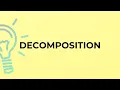 What is the meaning of the word DECOMPOSITION
