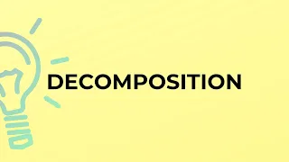 What is the meaning of the word DECOMPOSITION
