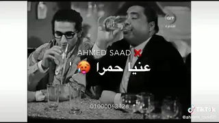 حالات واتس مسلم اتضربت بكيف وخمره دندنها