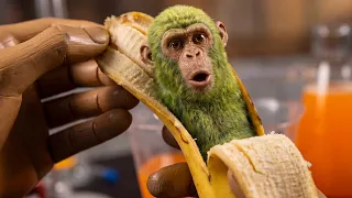 Tung Tung Sahur Creates Chimpanzini Bananini (Surreal ASMR)