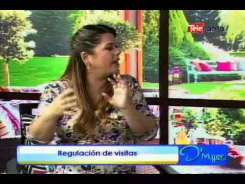 Regulación de visitas