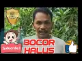 Download Lagu Lagu Sibolga Bocor Halus - Maswin Pinayungan