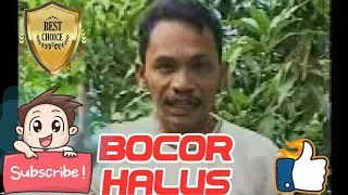 lagu sibolga bocor halus maswin pinayungan