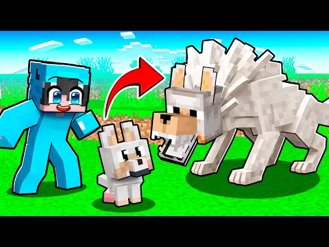 Video Thumbnail: Evolucioné de BEBÉ LOBO a LOBO ALPHA en Minecraft!