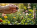 Download Lagu Slechts 1 druppel in de tuin en alle plagen verdwijnen op natuurlijke wijze!