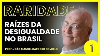 João Manuel Cardoso de Mello | Capitalismo Tardio e Sociabilidade Moderna | Café Filosófico