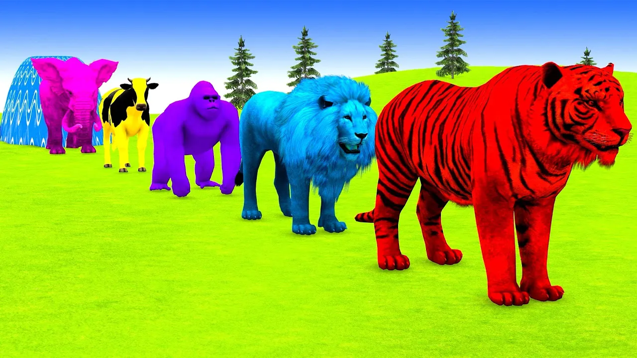 Firodaliso FunAnimation channel featured image