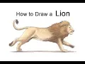 How to Draw a Lion Running Colored Pencil Tutorial