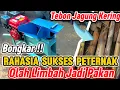 Download Lagu MESIN PETERNAK CERDAS.!!Olah Tebon Jagung Jadi Pakan Ternak Murah Meriah