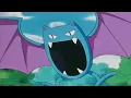 Brock s Zubat evolves into Golbat