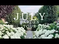Download Lagu A Golden Hour Garden Walk, where Hydrangea ‘Annabelle’ steals the show!