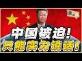 Download Lagu 《谦言谦语》赖岳谦 公开版  | 中国被迫！只能实力说话！