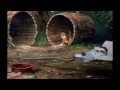 Download Lagu Best of Friends - Fox and the Hound