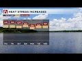 News On 6 Weather Overnight Update August 12 2026 - August 13 2026