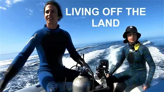 WOW! Catching SQUID with NO LURE from sailing catamaran – Ep 106