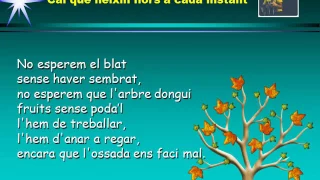cal que n ixin flors llu s llach 1967