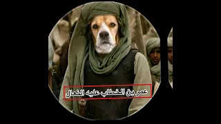 يا ذاكر الاصحاب كن متأدبا    اكسبلور  السعودية  مصر  العراق  الجزائر دندنها