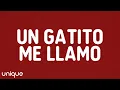Download Lagu KAROL G - Un Gatito Me Llamó (Letra/Lyrics)