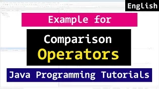 Comparison Operators Java Programming Tutorial