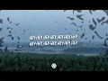 5 Seconds of Summer - She Looks So Perfect (Lyrics)