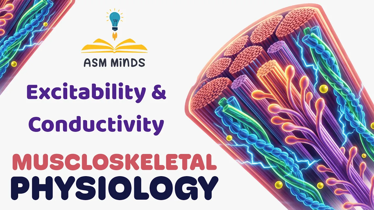 4- Musculoskeletal Physiology - Excitability & Conductivity - By Dr. Mohamad Salama