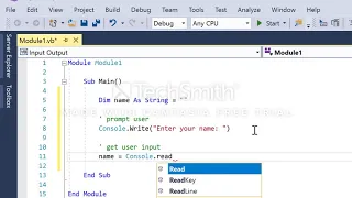 Visual Basic Input and Output
