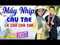 Download Lagu Mấy Nhịp Cầu Tre - LK Bolero Cha Cha Toàn Bài Hay, Phối Mới Cực Chuẩn, Nghe Thử Nghiện Luôn