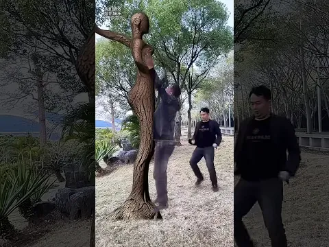 Video Thumbnail: Can't I recognize you if I turn into a tree Magical tree mobile phone special effects (1)