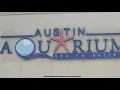 A Visit to AUSTIN AQUARIUM