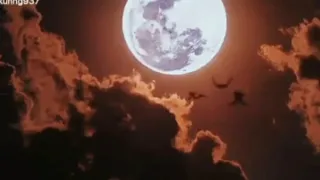 باليل يا أبو الحيارة دندنها