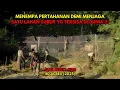 Download Lagu RELA MATI DEMI MAKAN SAYUR DISAAT SEMUA ORANG JADI KANIBAL