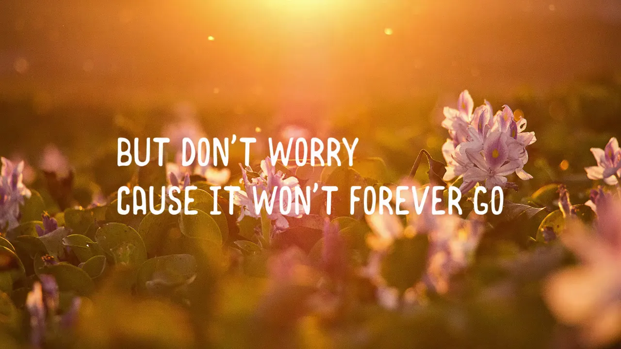 The Panturas - Sunshine (lyric) The Panturas - Sunshine (lyric)