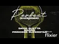 David Guetta, Mason and Princess Superstar - Perfect Exceeder (PITCH Corrected Original Version)