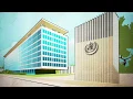 Lagu The World Health Organization. How does it work? | AFP