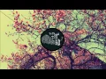 Jesper Ryom - Apolune