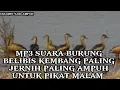 Download Lagu MP3||SUARA PIKAT BURUNG BELIBIS KEMBANG JERNIH PALING GACOR