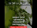 Download Lagu Сура Аль Фаджр |89:20 |Чтение Корана с русским переводом| Quran Translation Surah Al Fajr - الفجر