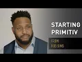 Primitiv Group beginnings