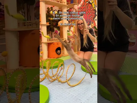 10 kez izledim 😂 Seçtiğiniz gri kedi😻 (Yayınlar açarak, seçimi etkilediğimi kabul etmiyorum shh🙈)