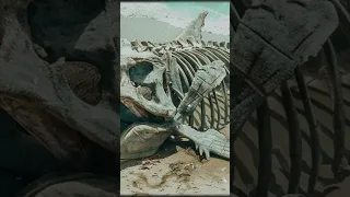 ملخص قصة أولى ثانوي الجديدة The Old Man And The Sea المنهج الجديد 2026 