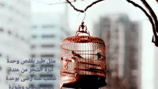 حاتم العراقي مثل طير بقفص HAMOODY ALMADRIDI 