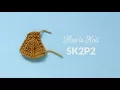 How to Knit a Central Double Decrease sl2-k1-p2sso cdd sk2p2 Hands Occupied