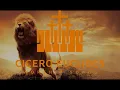 1 hour of Instrumental Praise | Praises to Pray and Worship | Musical Background | soaking