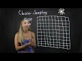 Cluster Sample