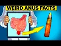 Weird Facts About the Anus