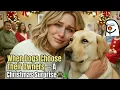 Lagu When Dogs Choose Their Owners — A Christmas Surprise 🐾🎄