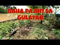 Download Lagu Sana masave pa namin ang mga talong | Handa nanaman ang 2 beds para sa bagong batch